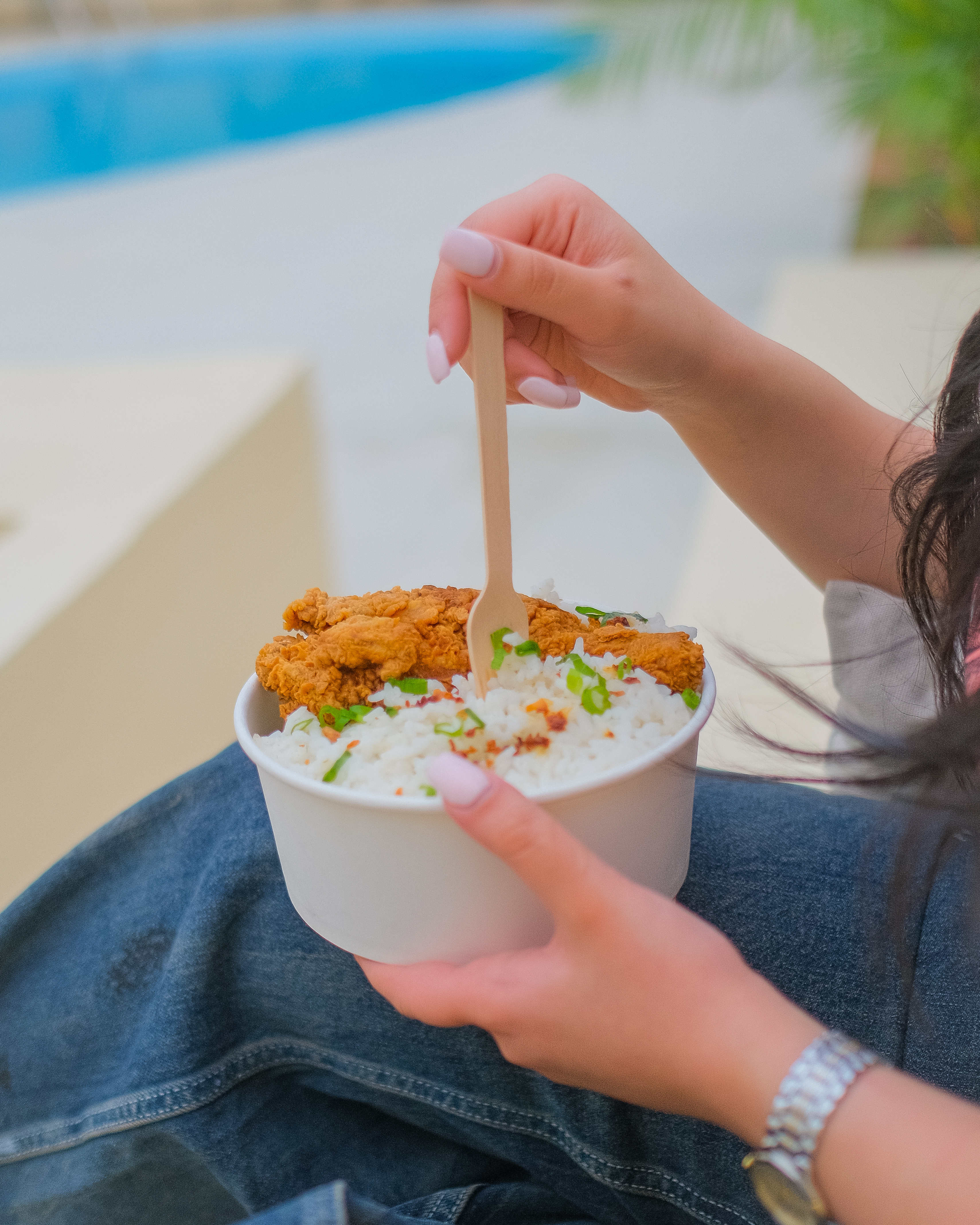 crispy chicken katsu rice